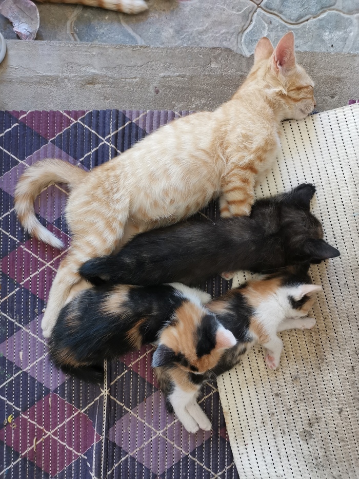 , , ! , ,   , 