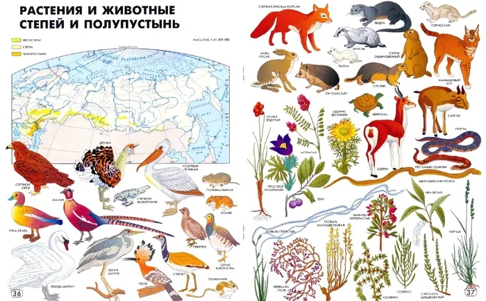 Ищу атлас, похожий на Мир и человек - Атлас, Мир и человек