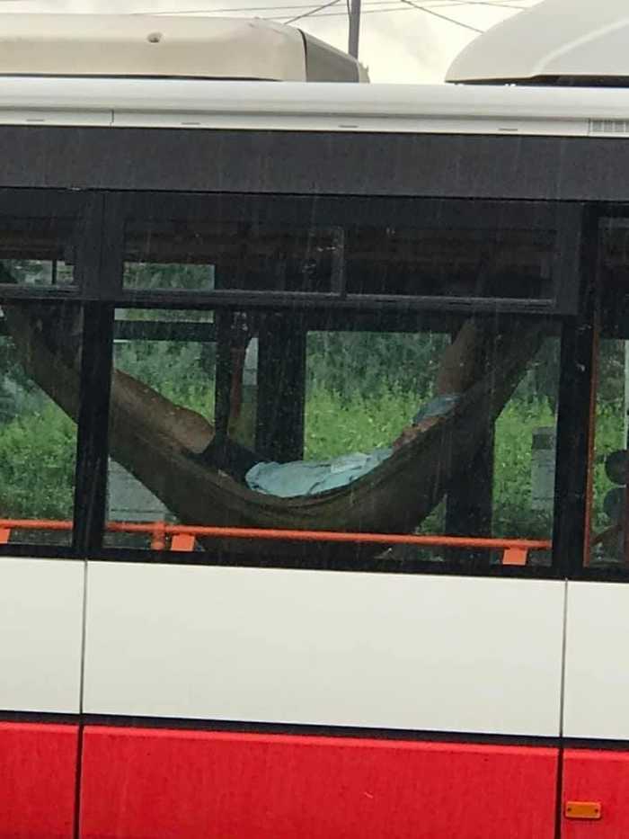 Hammock - in each bus - Bus, Czech, Hammock, Bus driver, Convenience, Driver