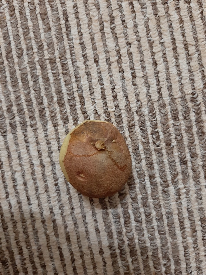 Ты кого почистить решил?