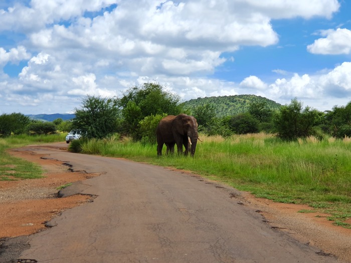 Ответ на пост «Главное - не заглохнуть!»