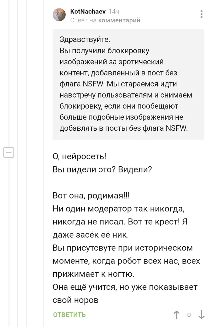 Нейросеть - Комментарии на Пикабу, Модератор, Длиннопост