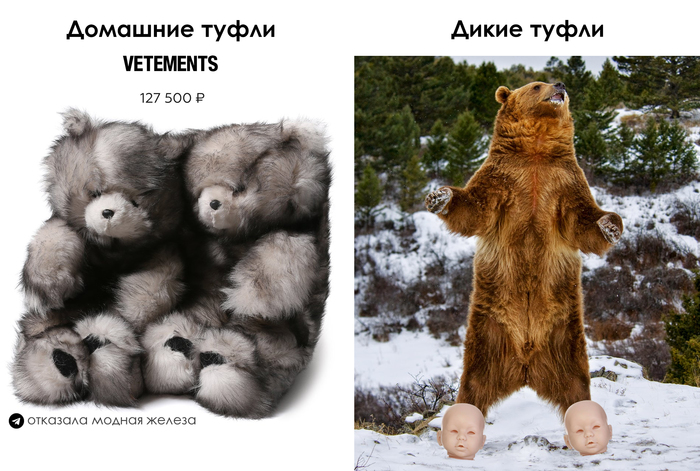 Домашние vs Дикие