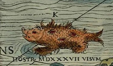 Sea monsters from the Carta Marina of the famous Scandinavian traveler Olaf Magnus, published in the 16th century - Cards, Geography, Monster, Monster, Images, Longpost