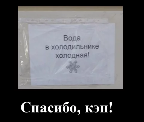 Если вас укусил овод: опасные гады, о которых никто не предупреждает - Моё, Овод, Насекомые, Болезнь, Паразиты, Укус, Опасность, Предупреждение, Длиннопост