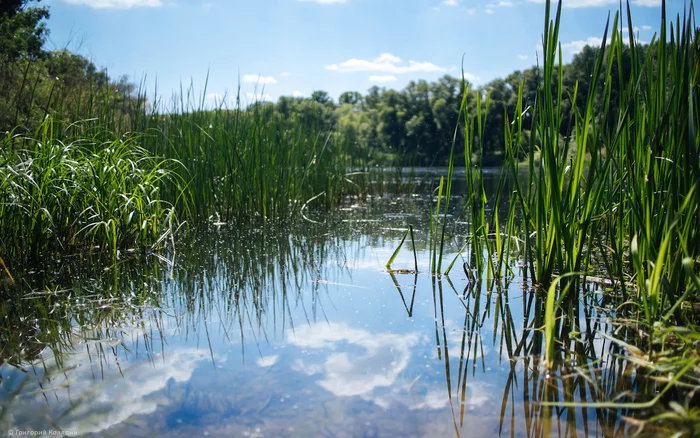 Ural River - My, Canon, Landscape, River, Plants, Nature, Clouds, Reflection, Sky