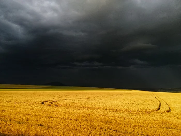 Storm. Stavropol Territory, village of Yutsa - My, Thunderstorm, The photo, Nature, Field, The clouds, Stavropol region