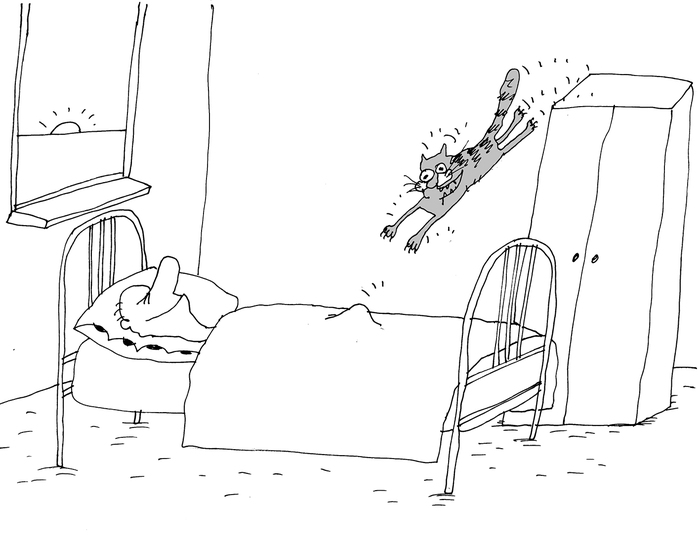 "������ ����"