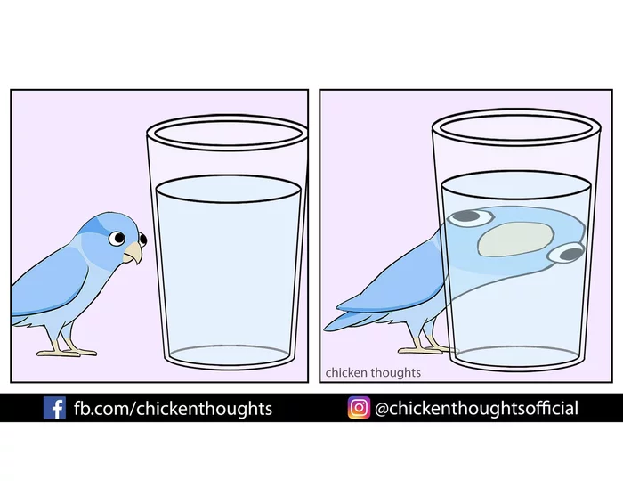 Parrot and glass - A parrot, Comics, Chicken thoughts