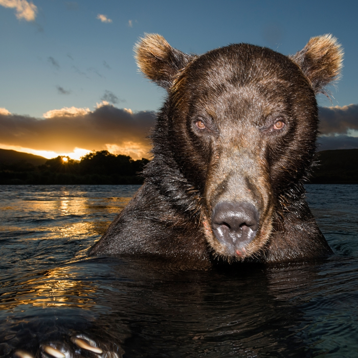 Уж и не искупаться спокойно)