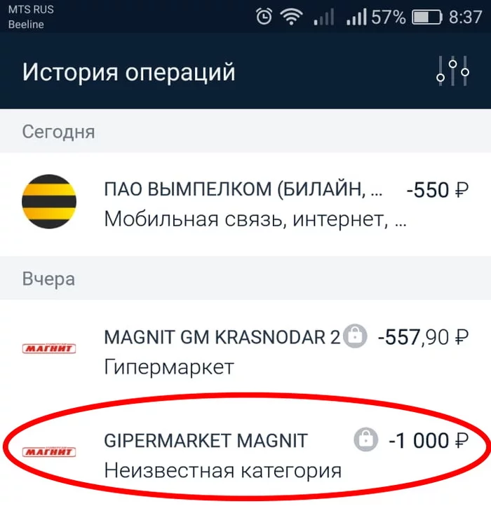 Сила Пикабу - нужна помощь (это мошенничество? и что делать?) - Моё, Мошенничество, Магнит, Длиннопост