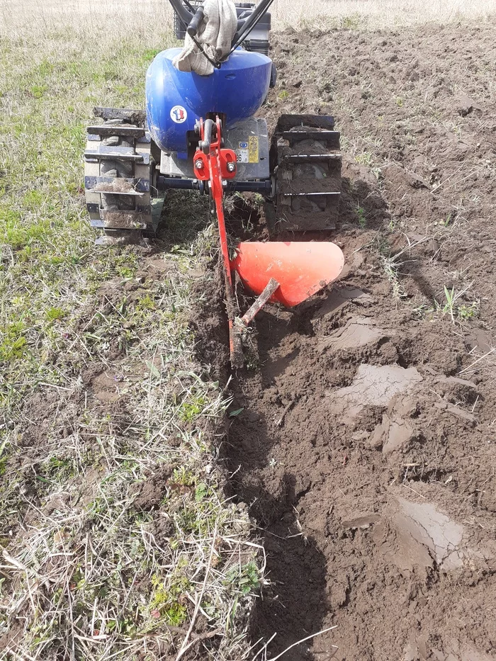 Walk-behind tractor with caterpillar plow - My, Garden, Dacha, Garden, Longpost