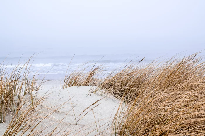 Cold foggy Baltic - My, Baltic Sea, Curonian Spit, Nikon d5300, Sigma 17-50, Longpost