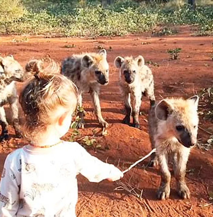 Girl and hyenas - Hyena, Spotted Hyena, Young, Milota, Animals, Children