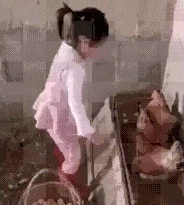 Кто-то очень хочет яичницу