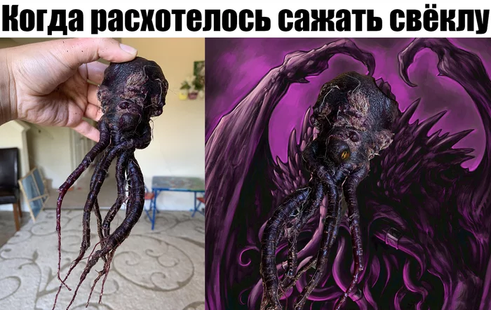 Caught R'lyeh flashback - My, Beet, Cthulhu, Memes, Picture with text