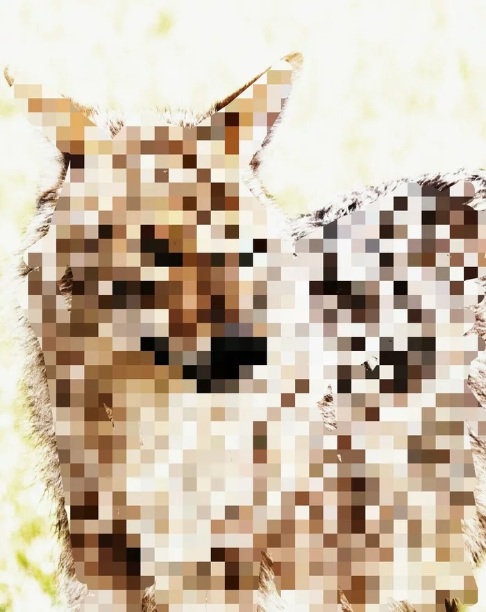 Jackal in jackals - Jackal, Pixelation, Hardened