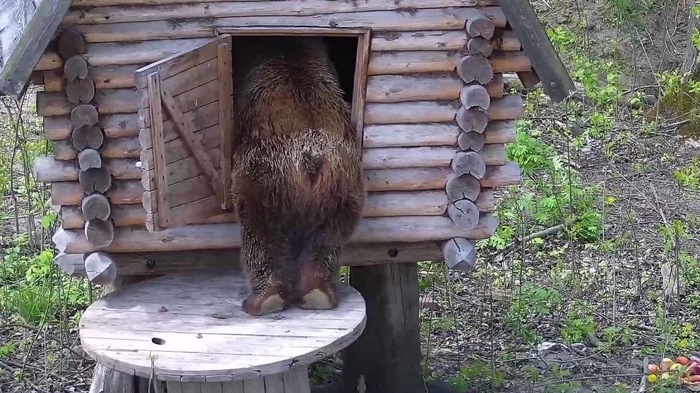 Тук-тук! Кто в теремочке живёт?