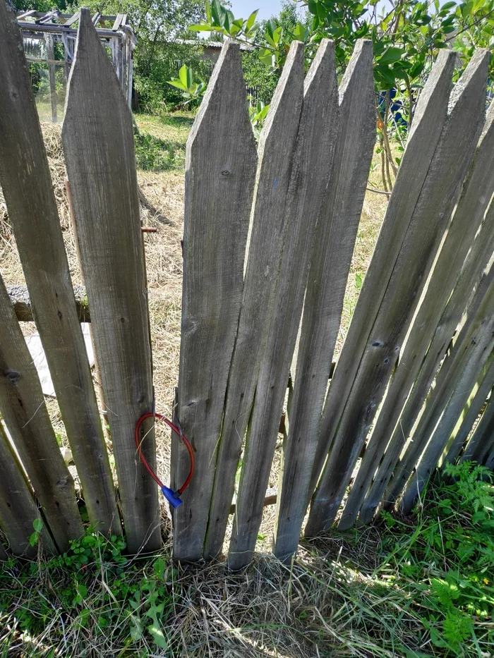 Vegetable garden/dacha My lazy dacha Part 2 Reconnaissance - My, Garden, Dacha, Mat, Longpost