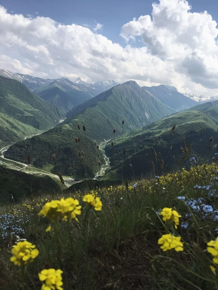 North Ossetia - The photo, Nature, North Ossetia Alania, The mountains, Flowers, Russia, Landscape, Longpost