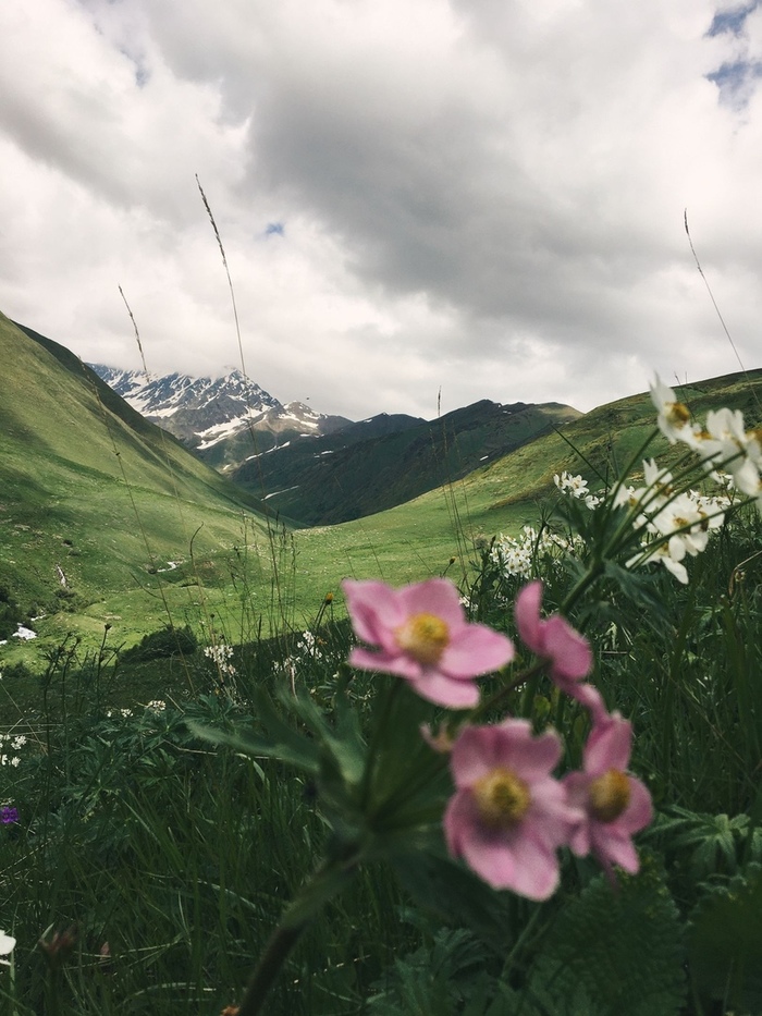 Весна в горах дагестана