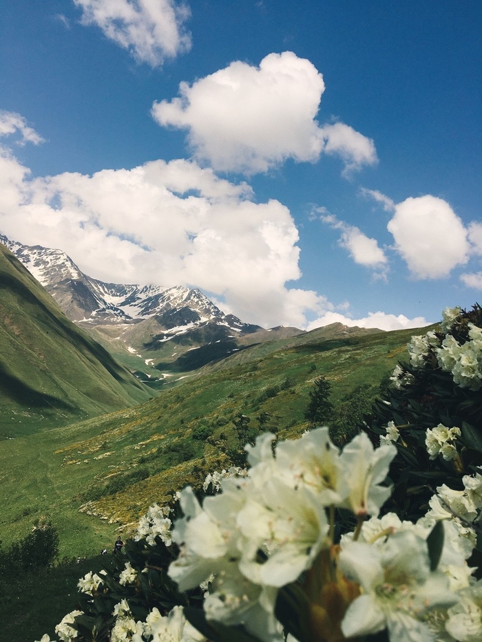 Северная осетия фотографии