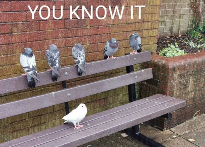 �� �� ���������...