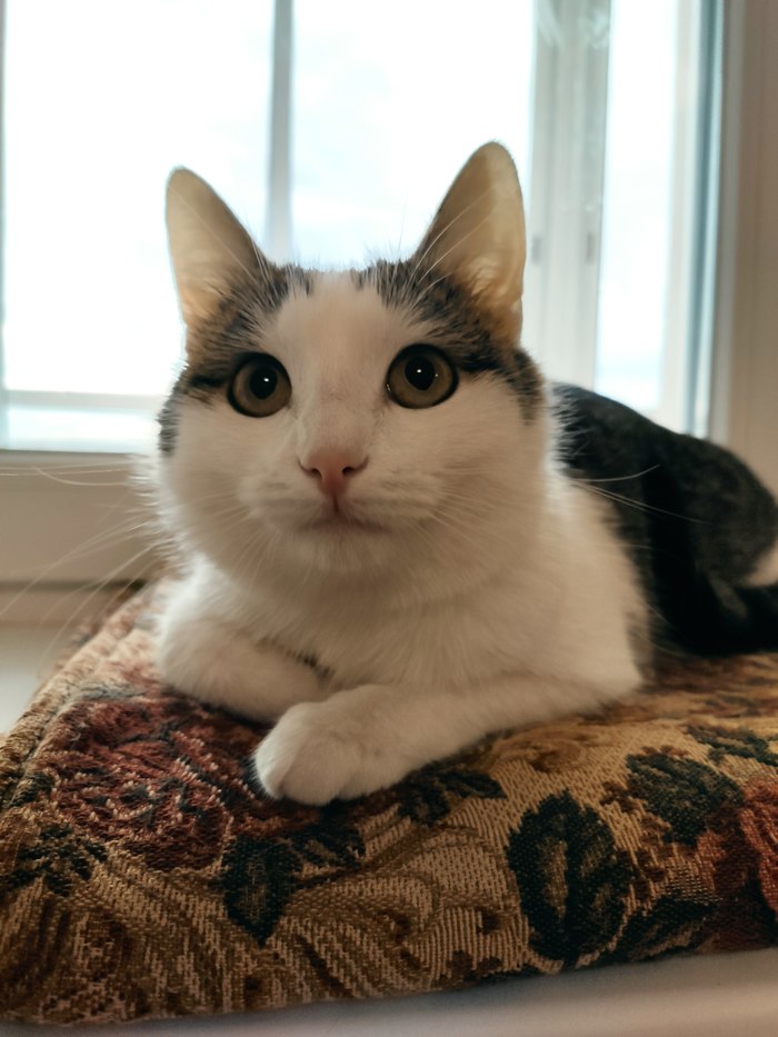 � ����� ��������� ������� ����?)