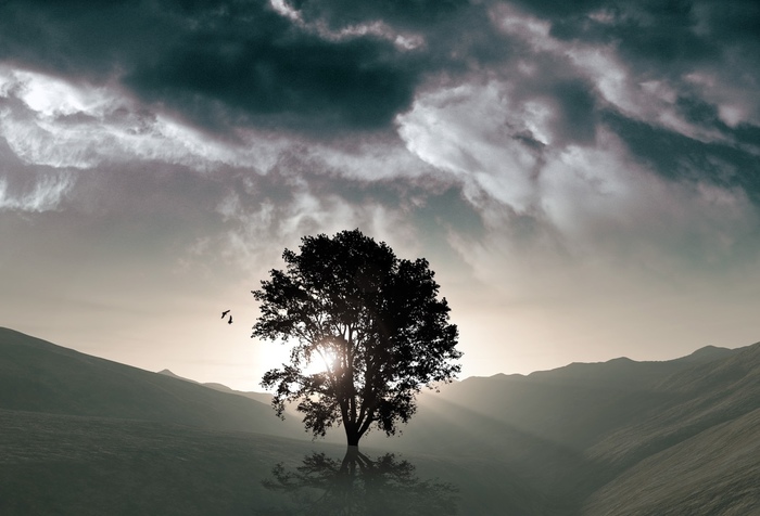 Знаменосец Хаоса