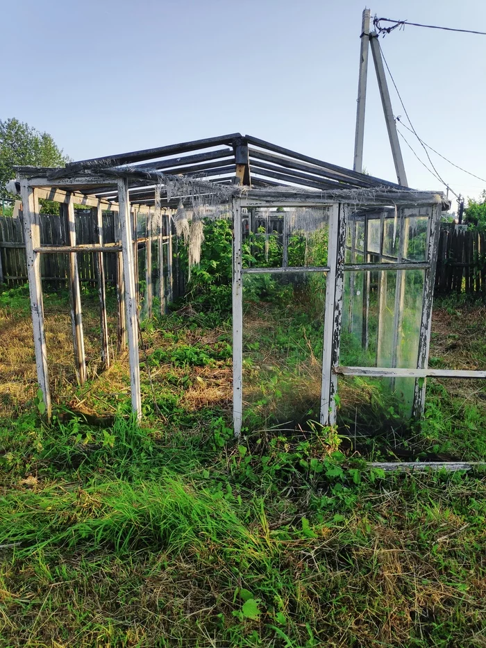 Vegetable garden/dacha My lazy dacha Part 3 Greenhouse and new things - My, Garden, Dacha, Creation, Longpost