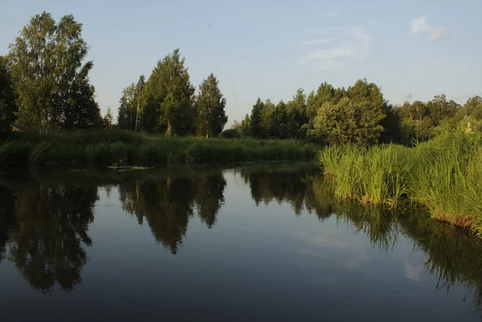 Klyazma River - My, Nature, Klyazma, The photo