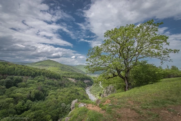 Красивое фото из Адыгеи - Природа, Река, Холмы, Красота, Республика Адыгея