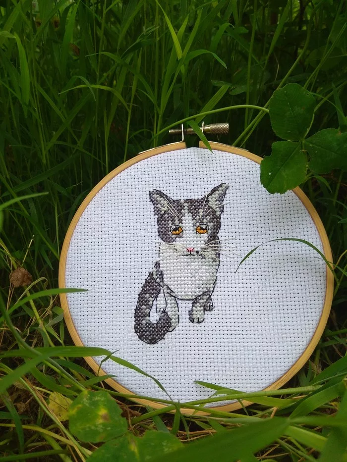 Portrait - My, Cross-stitch, Needlework without process, cat, Longpost