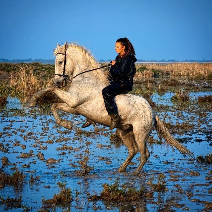 Cowgirl - Women, Horses, Camargue, France