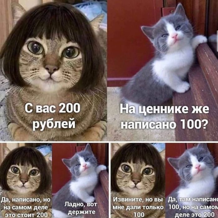 � ��������...