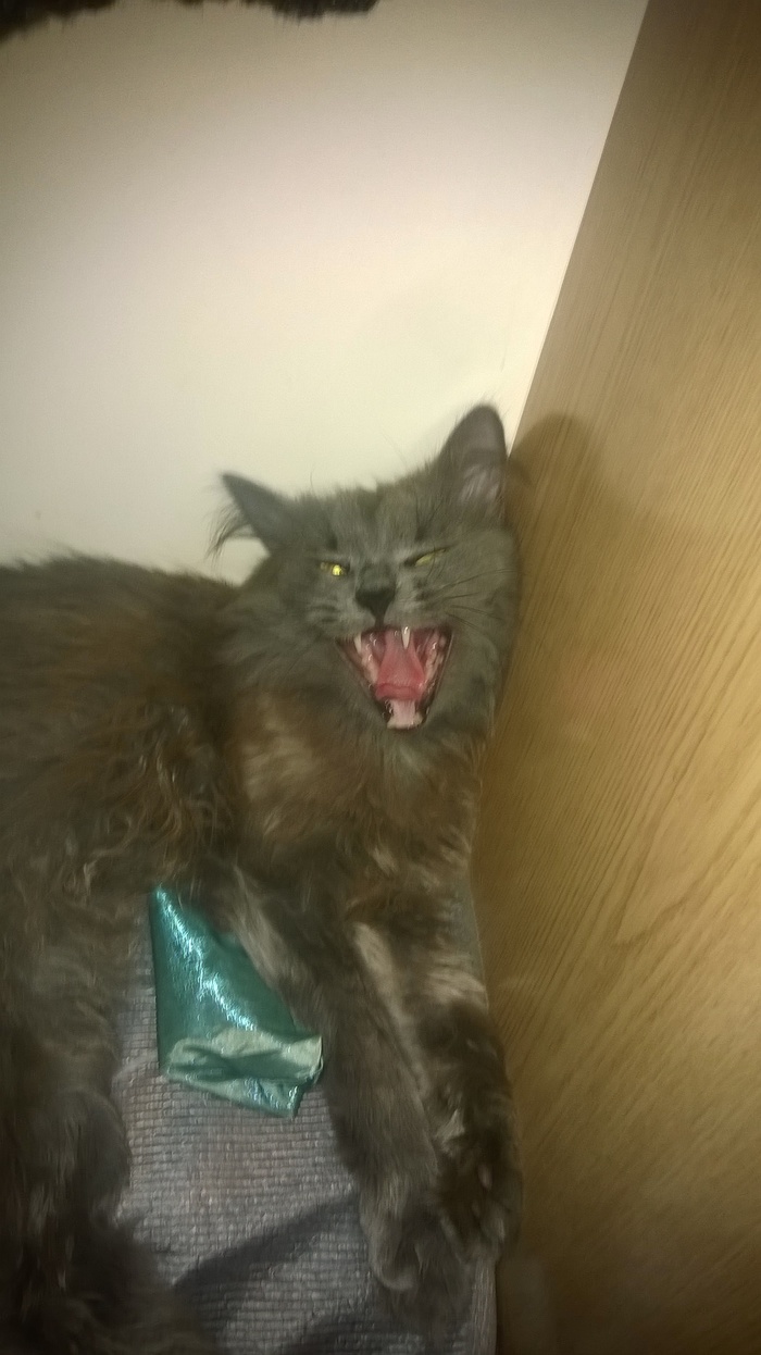 �� ��*�� ������� �������!!!