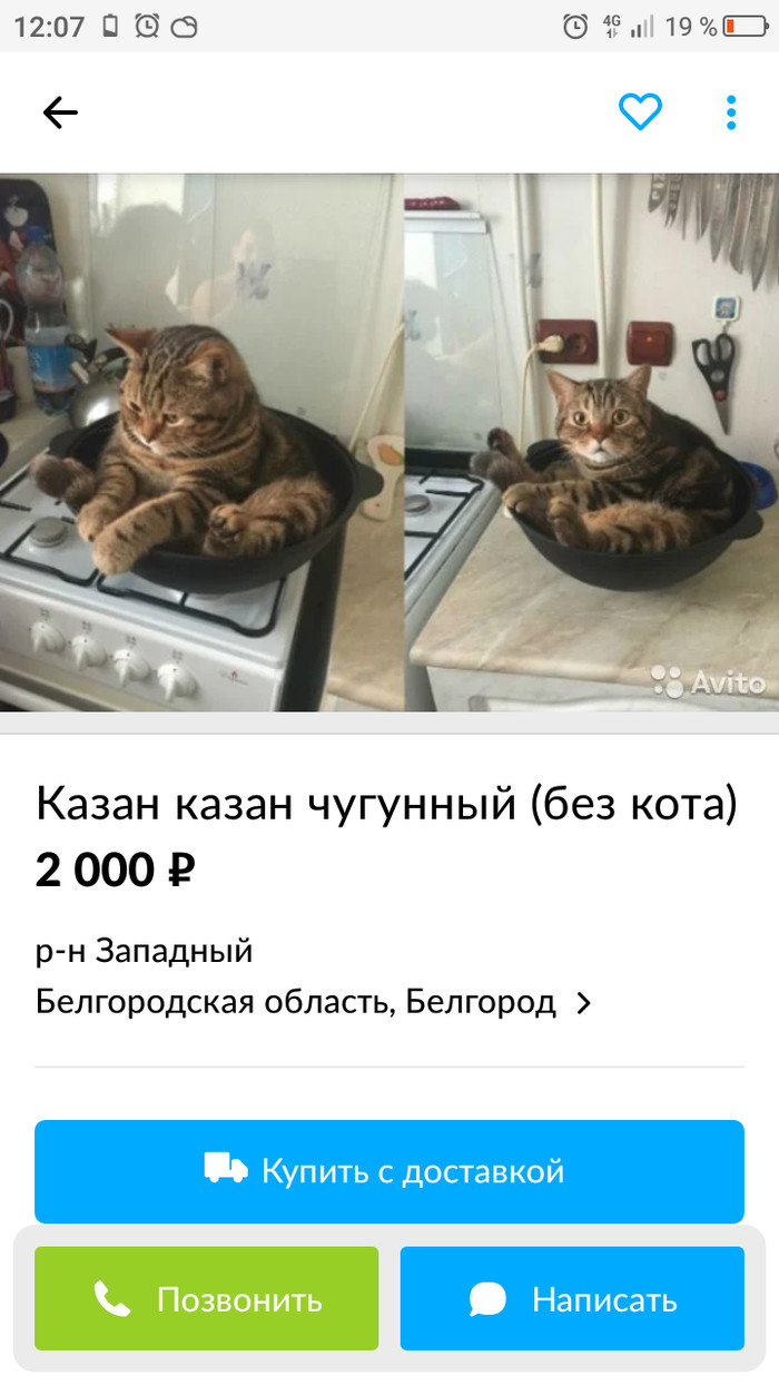 На просторах Авито