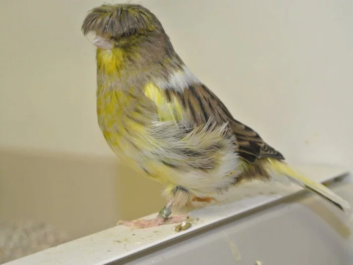 Что это за штука - 100 Перевел сам, Reddit, WhatIsThisThing, Видео, Длиннопост Что это за штука - 100 Перевел сам, Reddit, WhatIsThisThing, Видео, Длиннопост