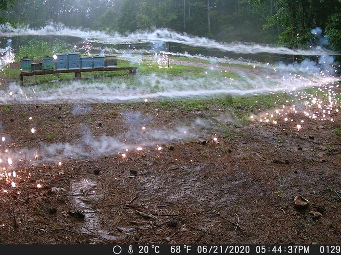 Consequences of lightning striking an electric fence around an apiary! - Electrical discharge, Lightning, Fence, Sparks, Apiary, Georgia, Reddit