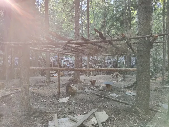 Let's do an off-road bike ride. June 2020 - My, A bike, Sertolovo, Pokatushki, Dirt, Video, Longpost