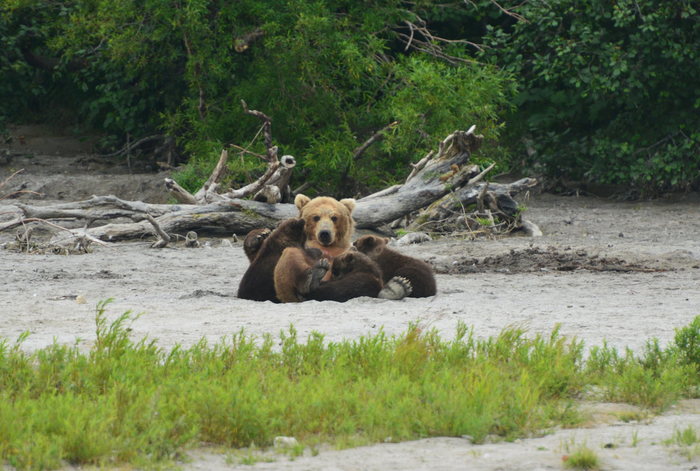 А кого стесняться-то?...