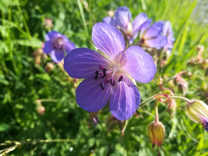 On the way to Big Nurgush - My, Mobile photography, Hike, Nurgush, Chelyabinsk region, Longpost