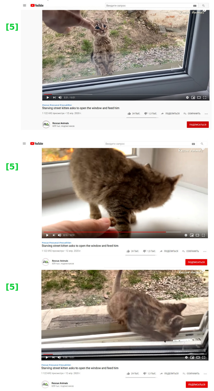 afina tv что с лисенком