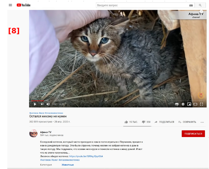 afina tv что с лисенком