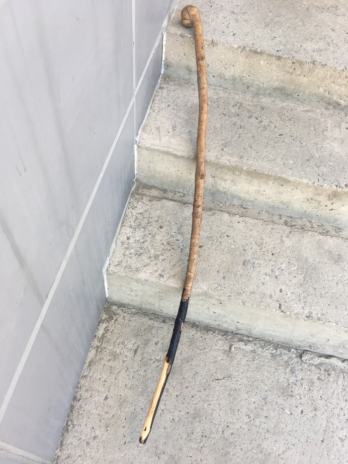 ����� ���������