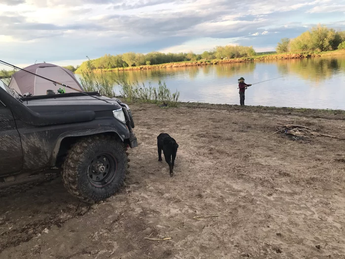 Outing with son or men's toys - My, Jeep, Forest, River, Fishing, Road, Dog, Labrador, Longpost