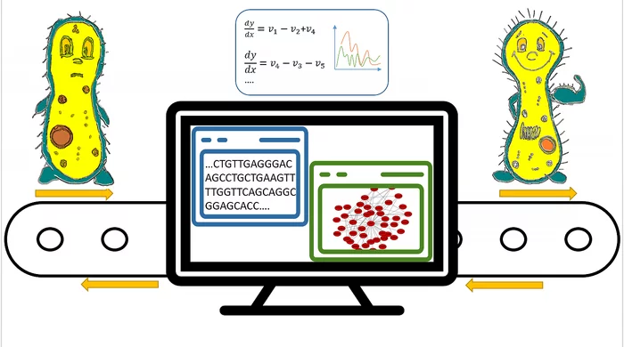 Scientists are working on a library of microorganism genomes - Bioinformatics, Genetics, Akademgorodok, Bacteria, Longpost, Copy-paste