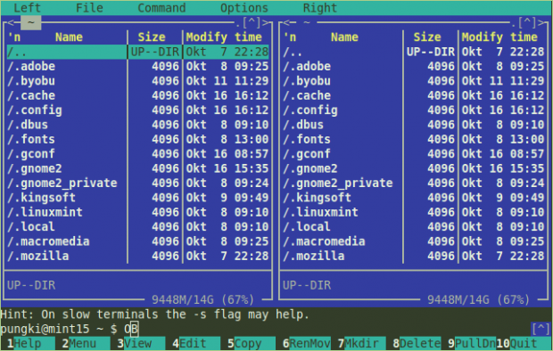 PHP debugging tool in the console? - My, Debian, Shell, Consoles, Linux, Develop, Debug