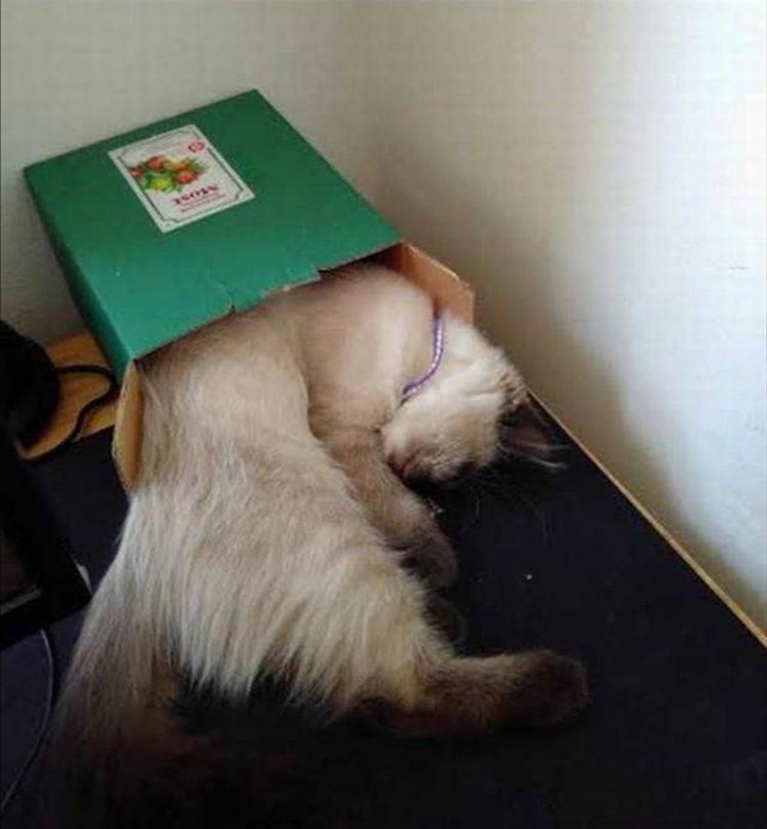 &quot;     ,       10 .  -  .&quot;