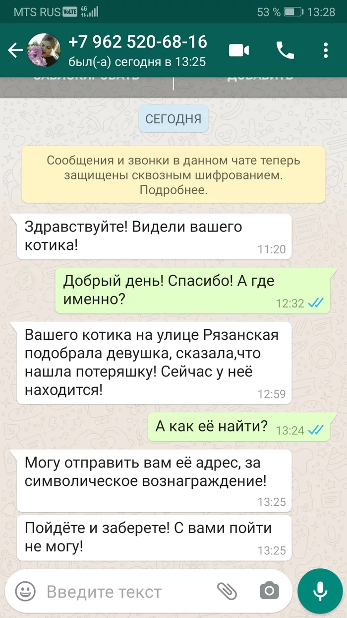 Развод на святом. На котиках - Моё, Кот, Коты и собаки вместе, Потеряшка, Обман, Длиннопост, Скриншот, Мошенничество, Вымогательство, Негатив